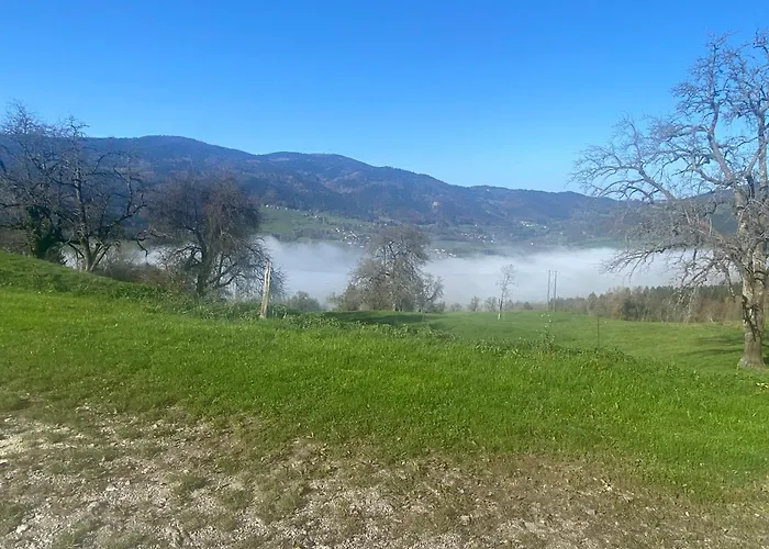 Les Gites Du Plane